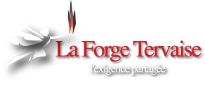 Logo Forge Tervaise